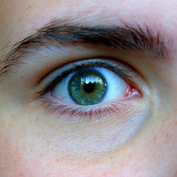 Closeup shot of a person's green eye