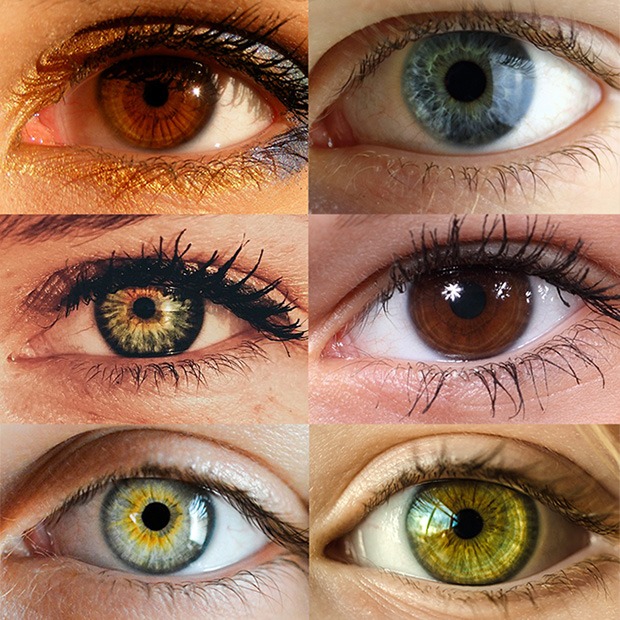 Closeup shot of six various eyes